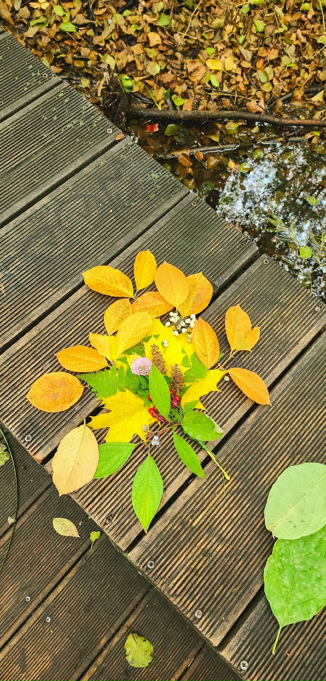 Осень в Балашихе😍