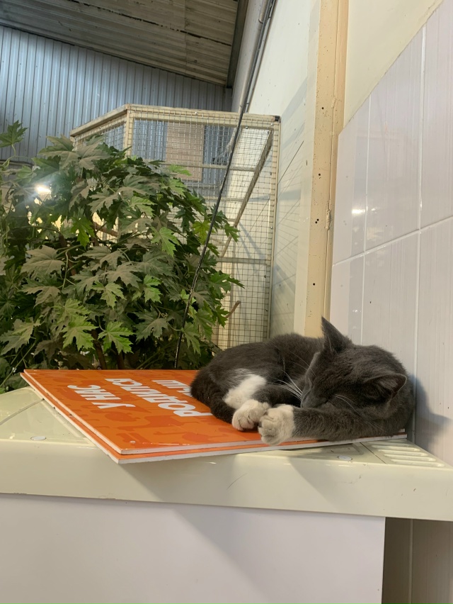 Карельский зоопарк