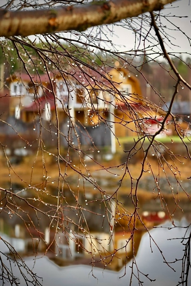 Красивое начало ноября.
Фото: [id1430345|Елена Серикова]