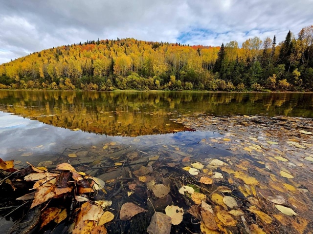? Колва в осеннем наряде
? Ирина Абдулманова