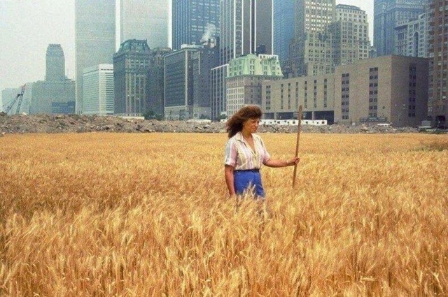Paньше в сердце Манхэттена было поле пшеницы. 1982 год.