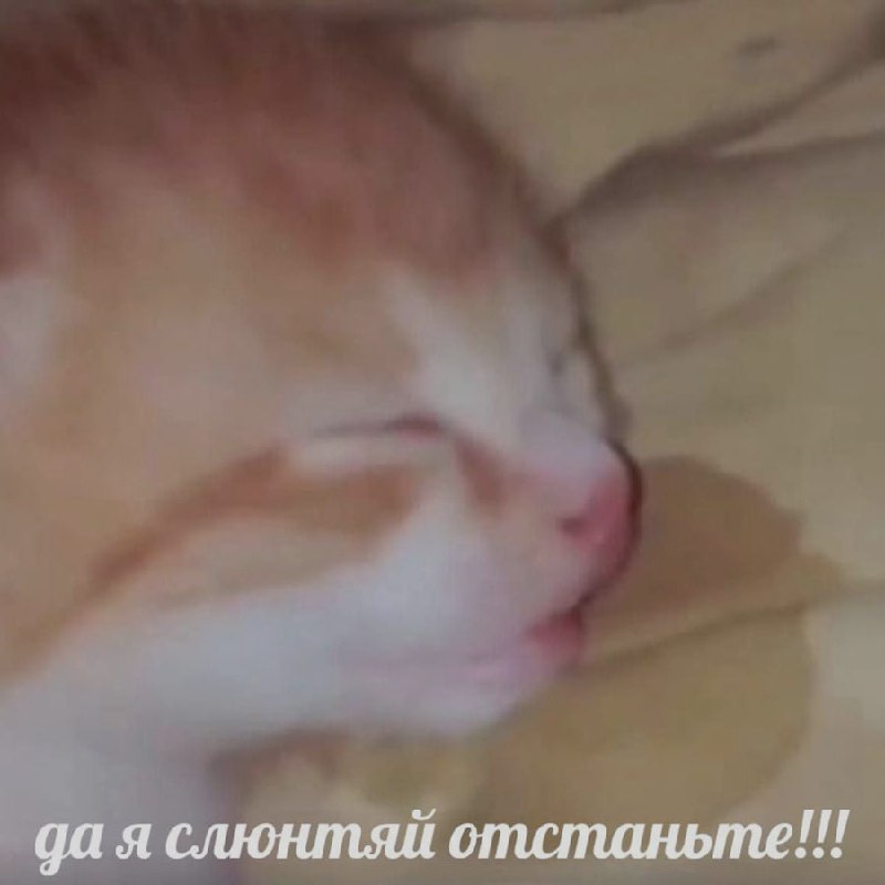 Ночная подборочка
Спать, режим