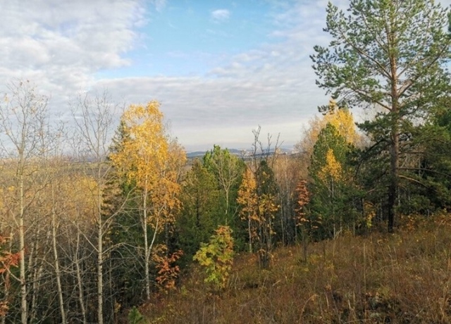 Вопрос подписчика
Здравствуйте, кто нибудь знает есть ...