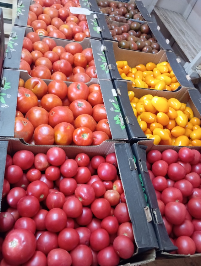 🔥Предлагаем вашему вниманию продукцию местных бахче?...
