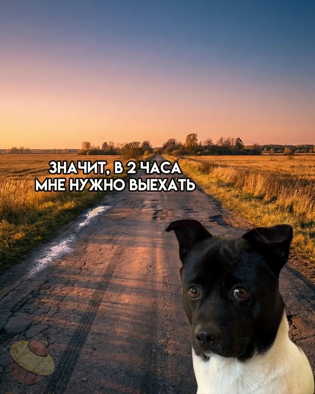 Я и мои сборы