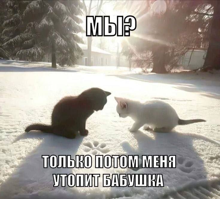 Утренняя подборочка