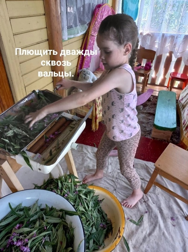 Приготовление Иван-чая,
он же Кипрейный, он же Копорски...