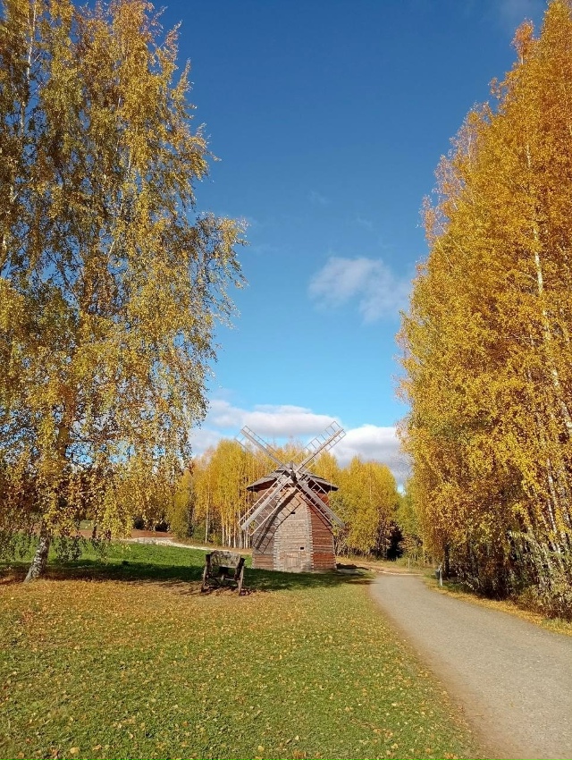 Шикарная осень в Хохловке ?
? Мария Сотникова
