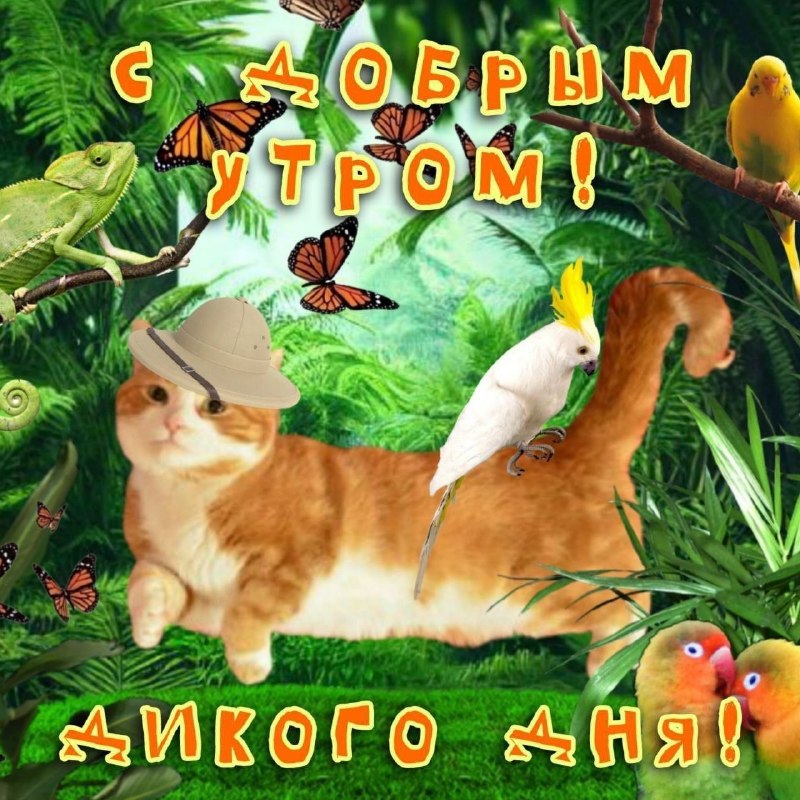 Утренняя подборочка