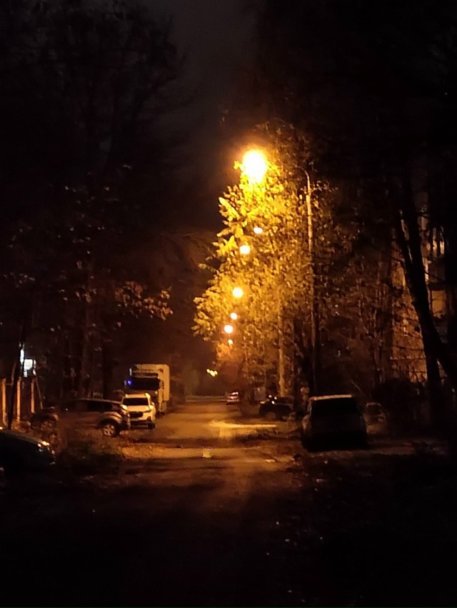 Доброй ночи 💤
📸Михаил Никонов