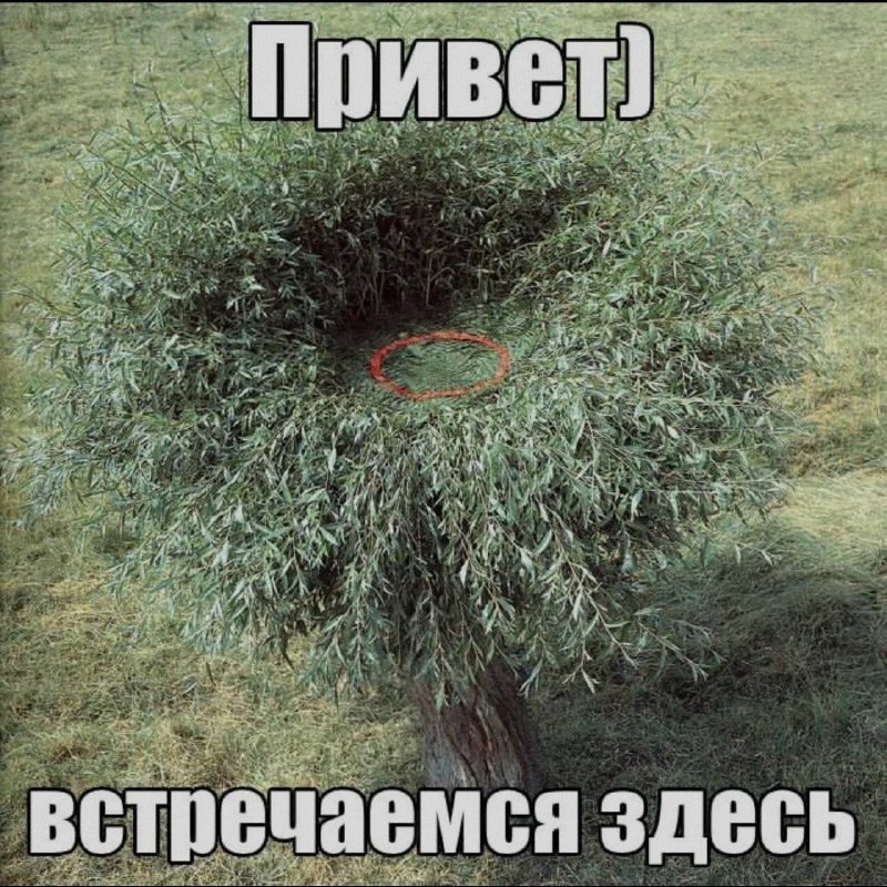 Ночная подборочка
Спать, режим