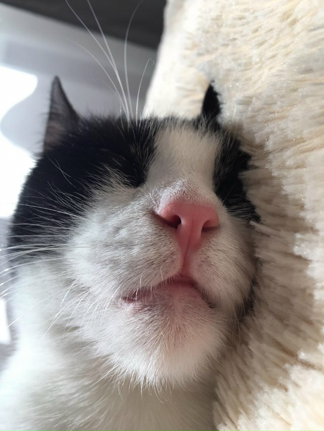 Утро — это такая часть суток, когда завидуешь безработ...