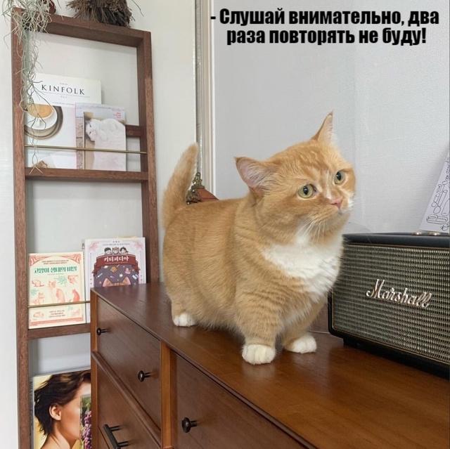 😂😂😂