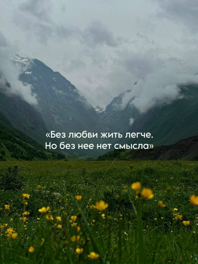 Сильные цитаты...