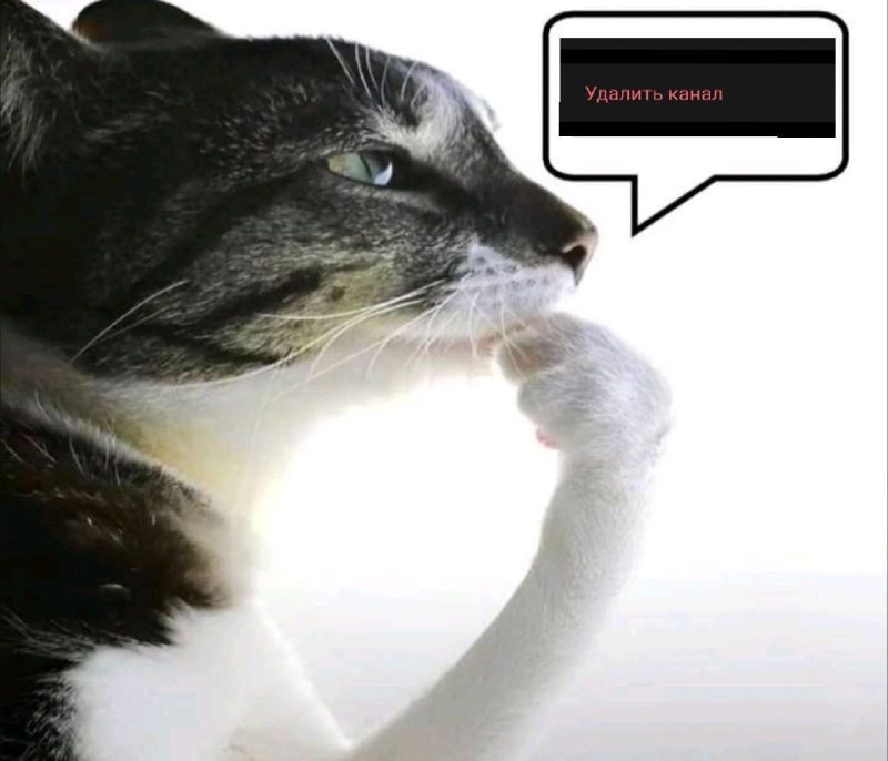 Утренняя подборочка