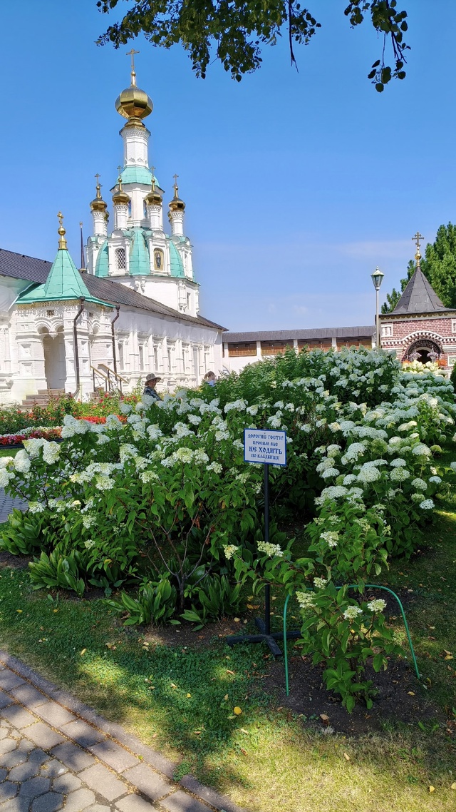 Толгский монастырь ☀🌼🌸