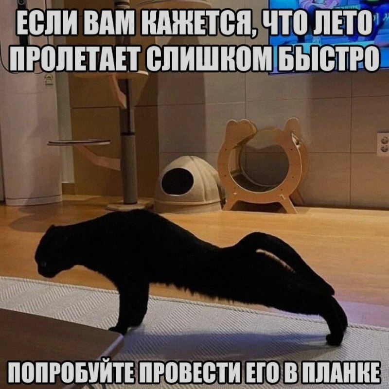 Ночная подборочка
Спать, режим