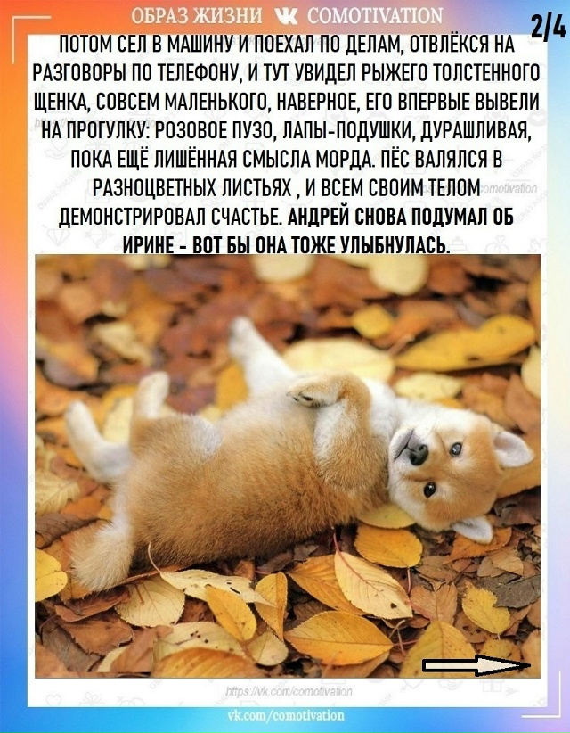 Формула любви