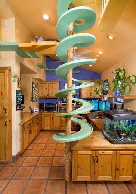 А что сделал ты для своей котейки?