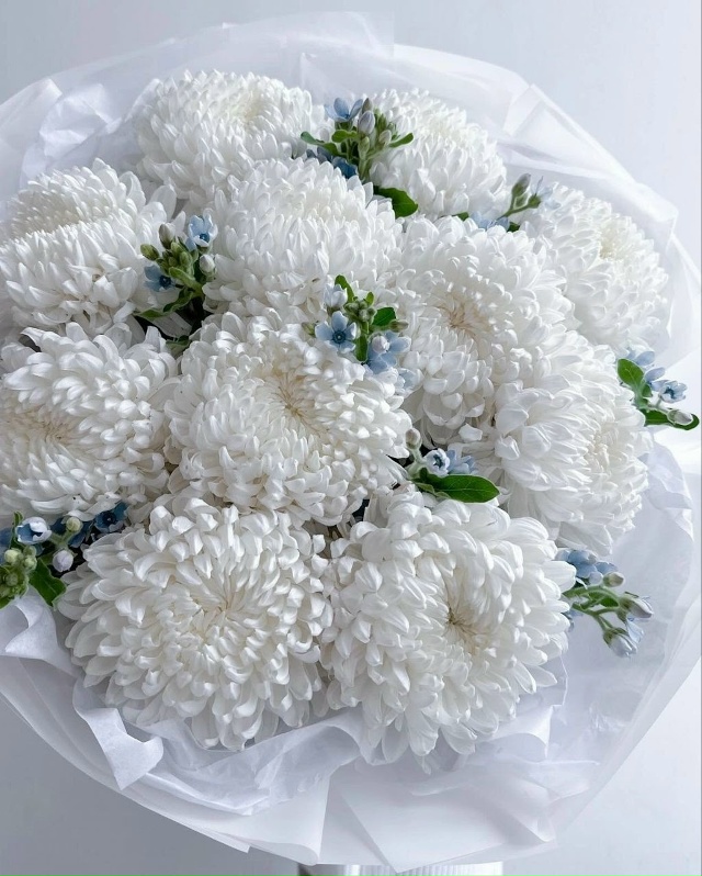 🌹Дорогие друзья!!! Приближается не менее значимый пра?...