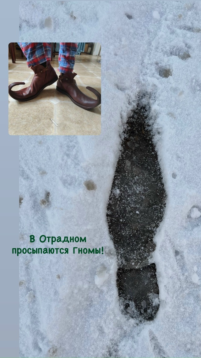 😂
анонимно!