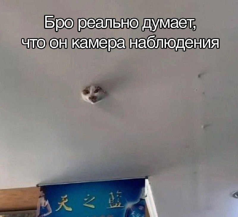 Утренняя подборочка