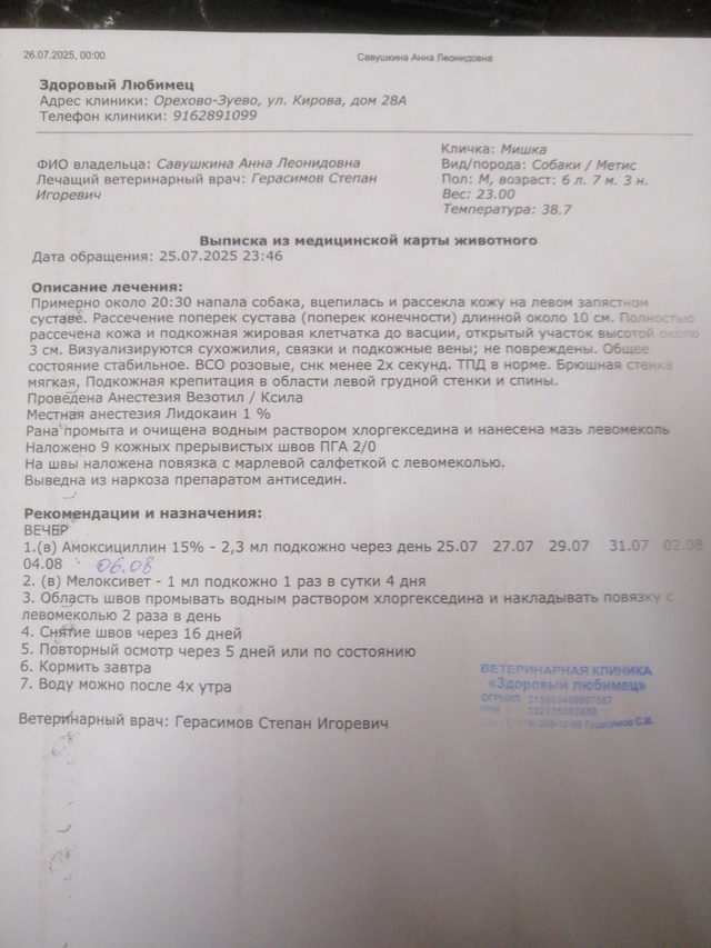 Случилось так, моя дочь гуляла с собакой, в наморднике ?...