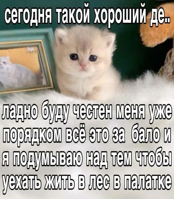 Утренняя подборочка