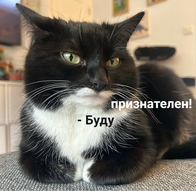 =»»