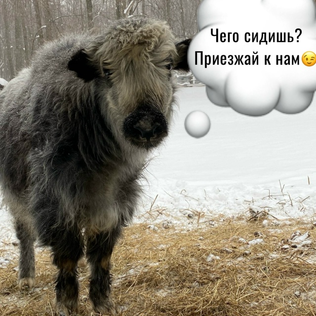 Не упустите шанс! 🎯 Забронируйте домик 🏕️ в базе отд?...