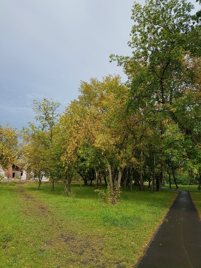 Самое прекрасное время года ???
п.Горняк