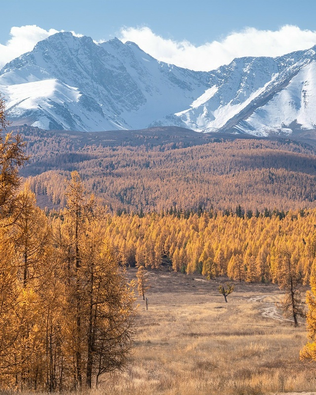 Актру, Алтай 🇷🇺