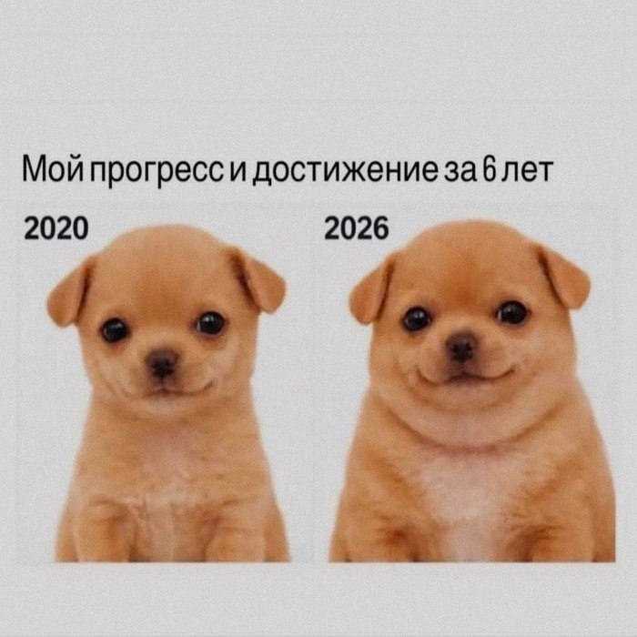 Ночная подборочка
Спать, режим