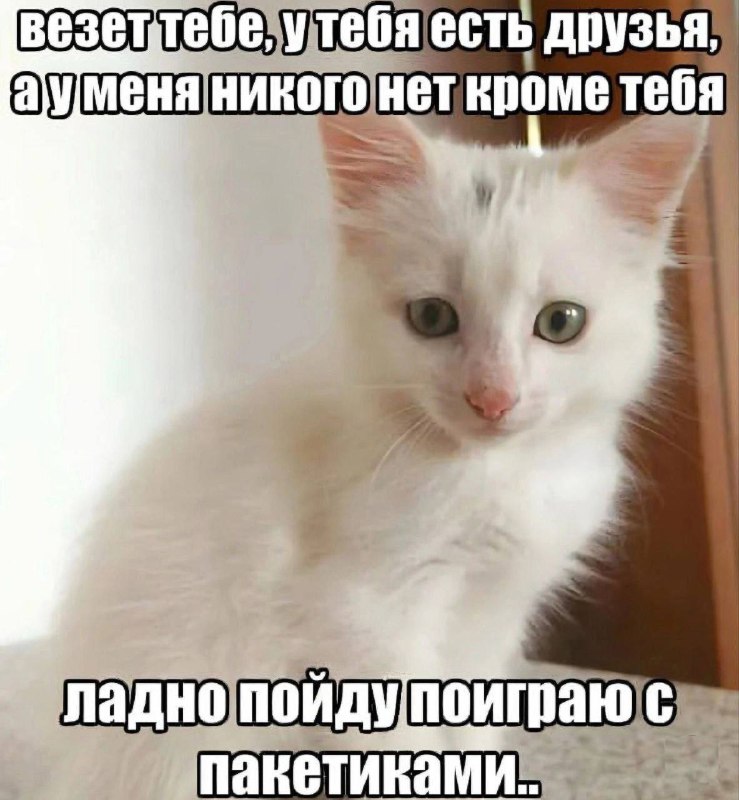 Утренняя подборочка