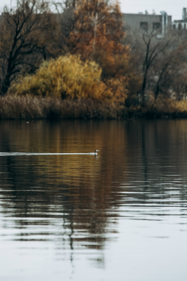 Осенний Воронеж🥰