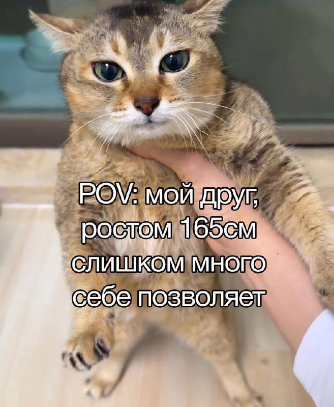 Утренняя подборочка