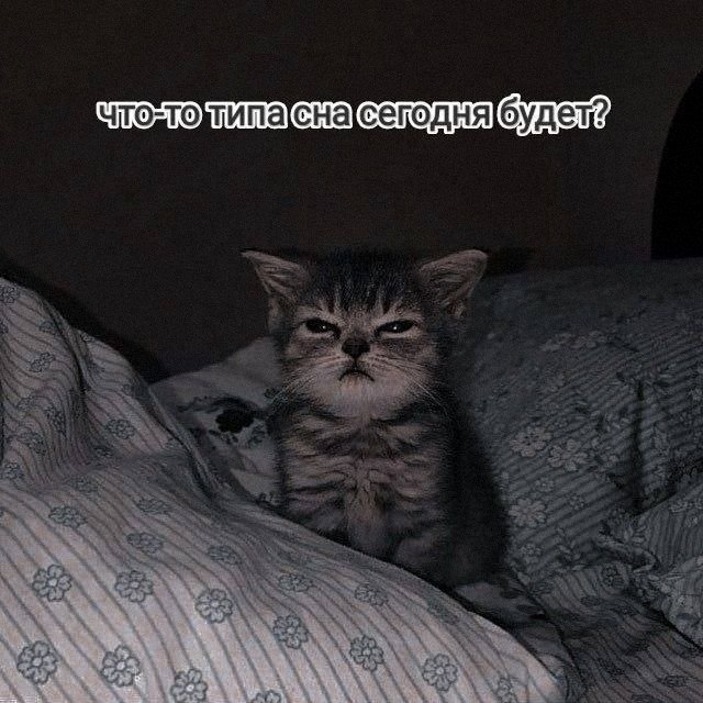 Утренняя подборочка