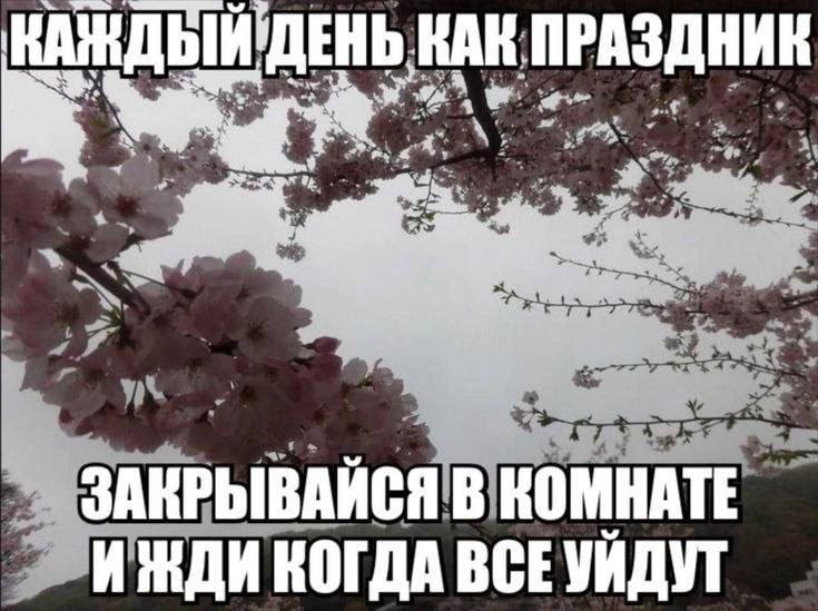 mood