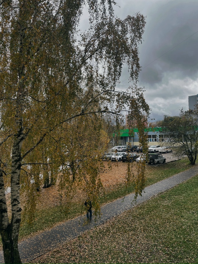 В конце недели в городе снова потеплеет.
В пятницу и вы...