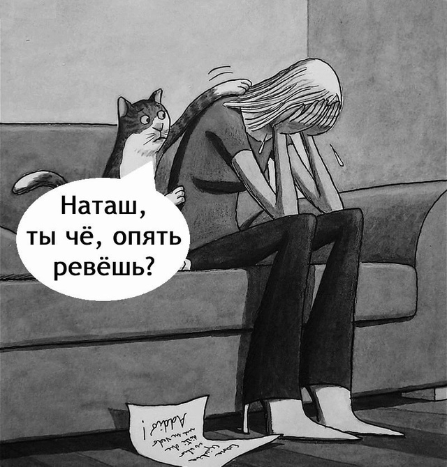С котом сложно поспорить?