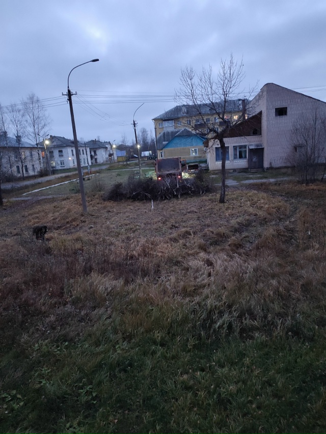 Вот сегодня между домом Новолесная дом 2 и клубом убрал...