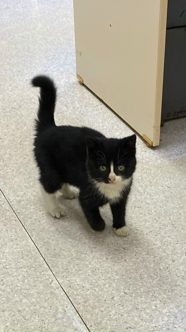 .Чей потеряшка? Пришел в салон «Линзочки»