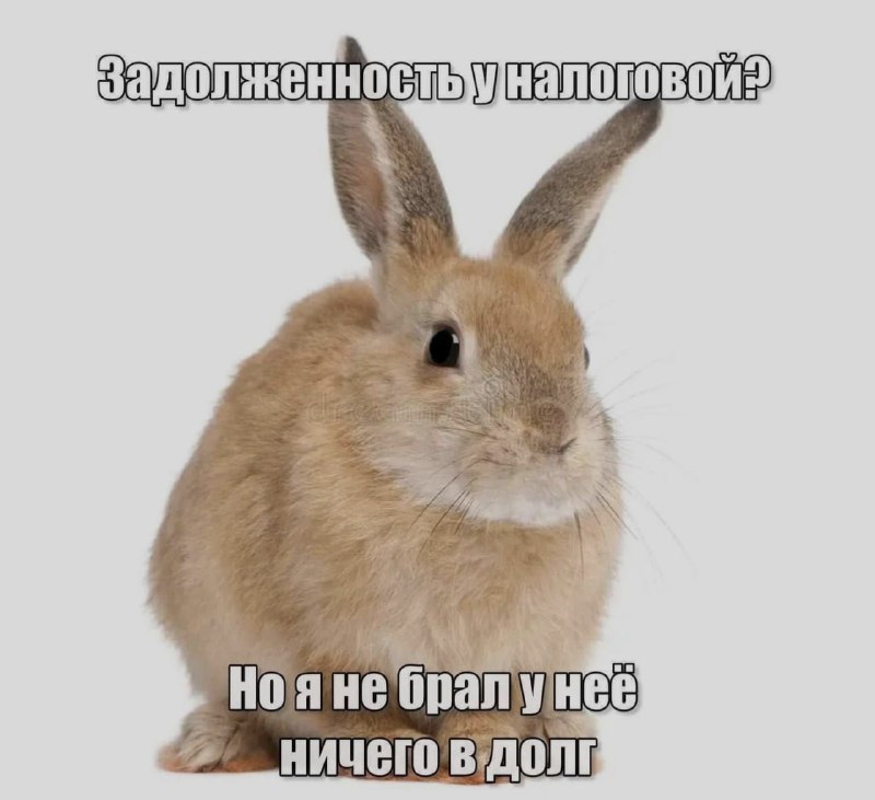 Ночная подборочка
Выходные, не спим