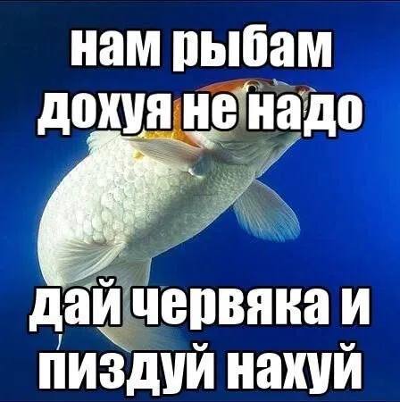 я во время овуляции, когда трансформируюсь в ультра хорни зверя похлеще всех мужиков вместе взятых,