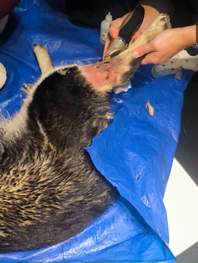 Друзья, нужна помощь! 😪
Сегодня звонит папа 