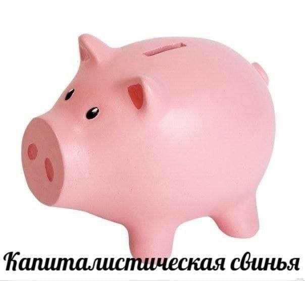 Утренняя подборочка