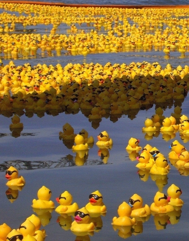 В 1992 году контейнер с 28 000 резиновыми утятами, черепашк?...