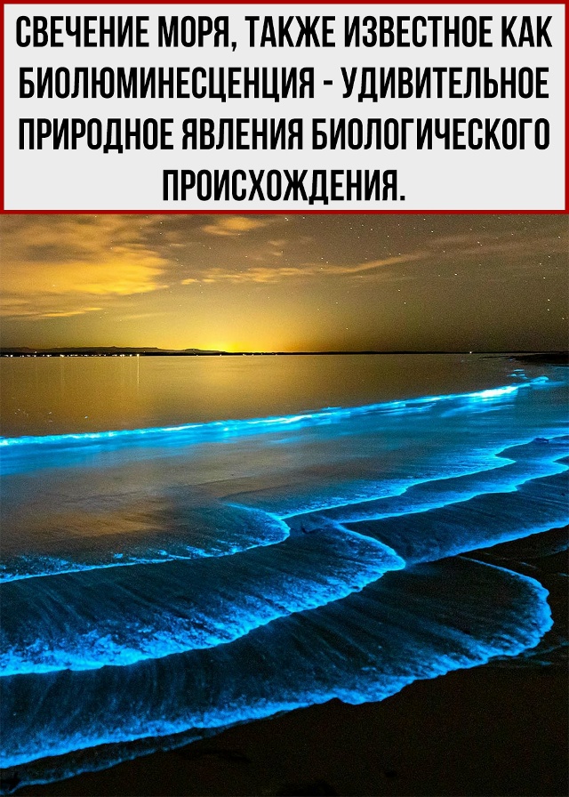 Всё-таки, природа - удивительная штука.