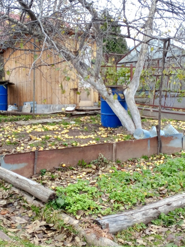 Как давно меня не было на даче и до сих пор не решил воп?...