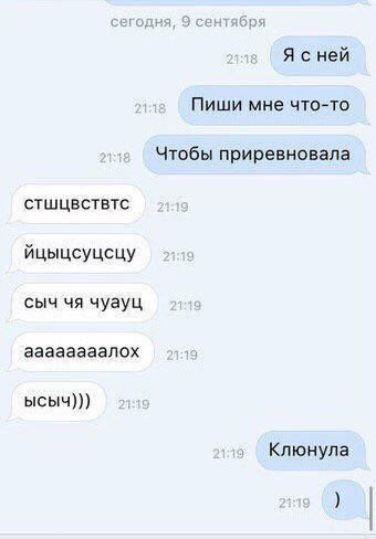 Верный товарищ